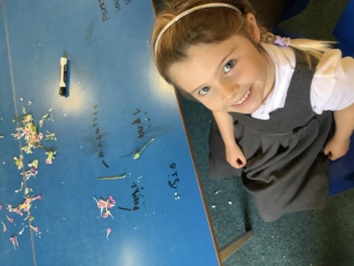 c52ca06f8c8244d5a616bda5f61c6a8c