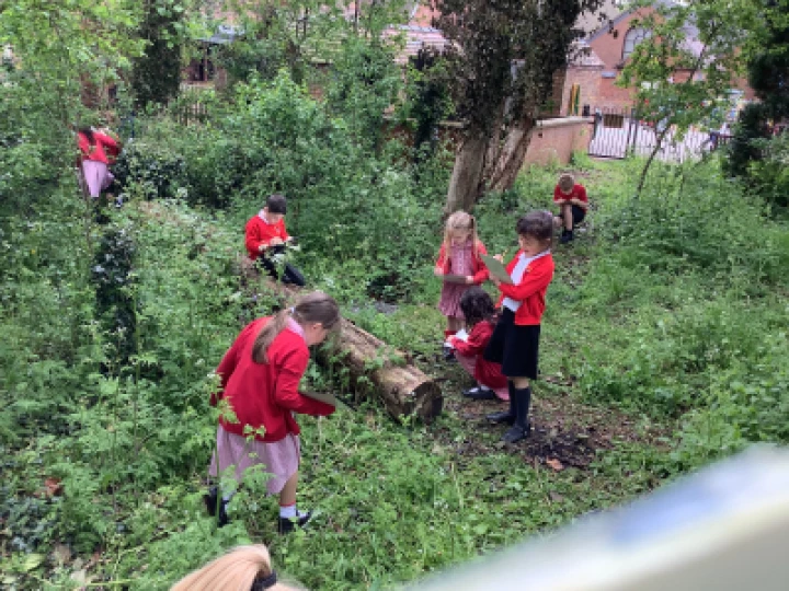 ca634cff0c5d4850ae02950f0d32bc16