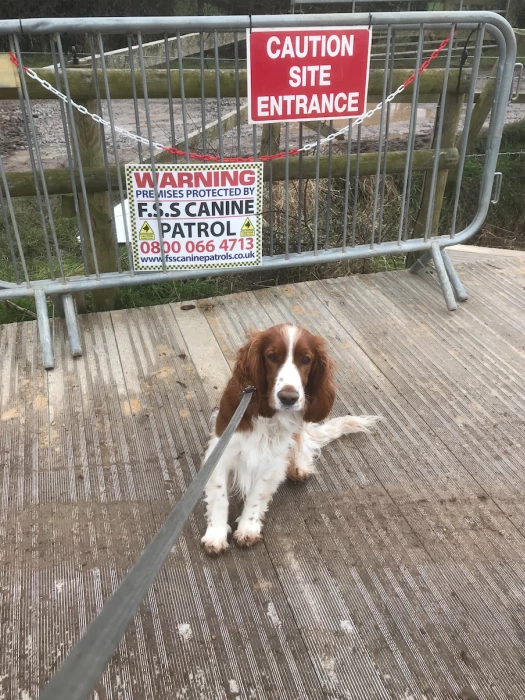 canal guard dog