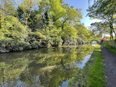 canal reflections