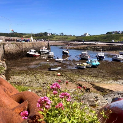 cemeas bay