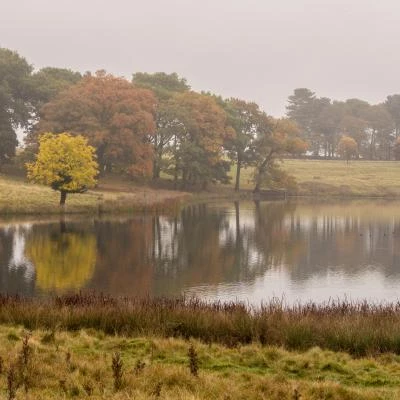 cheshire association of local councilsimage