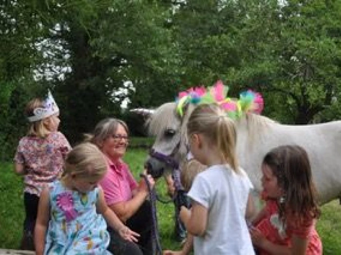 cheshire pony parties