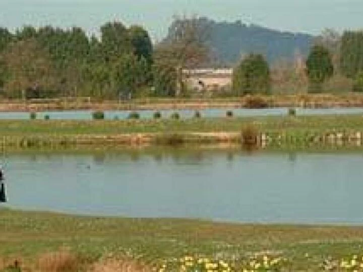 cheshirefishing