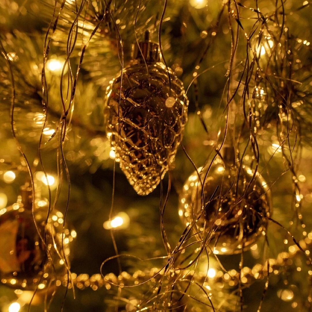christmas tree holiday season