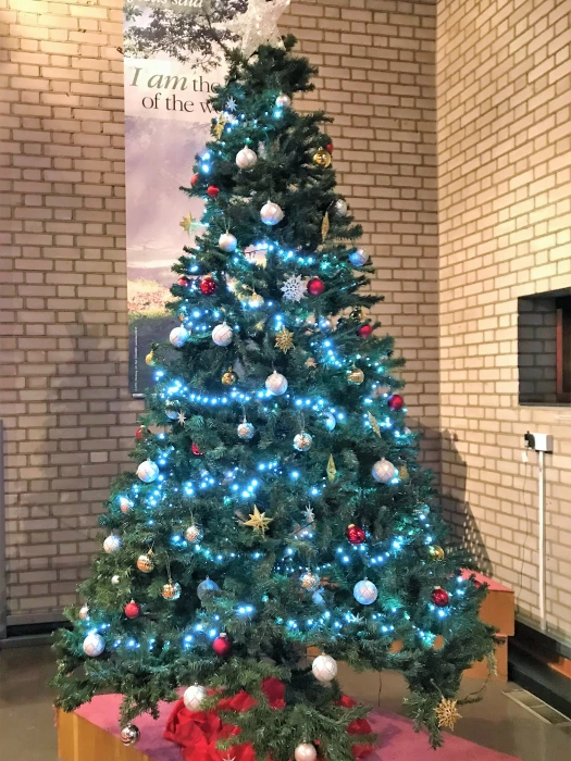 christmas tree in sanctuary