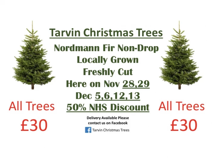 christmas trees