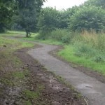community woodland
