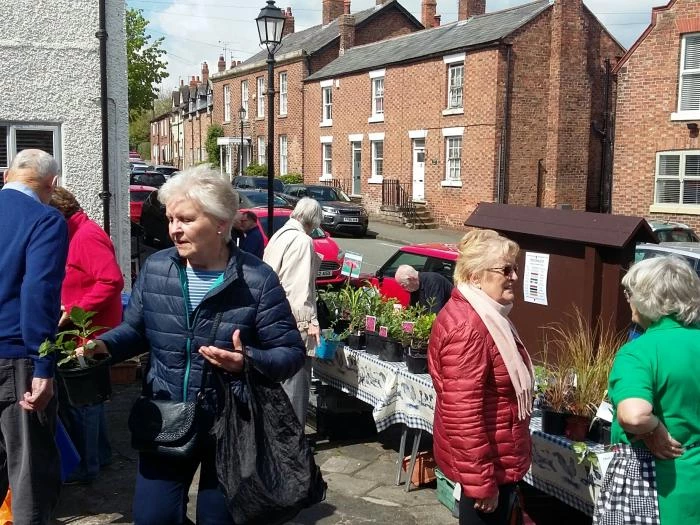 community woodland trust plant sale 2019 20190511112700resized 1