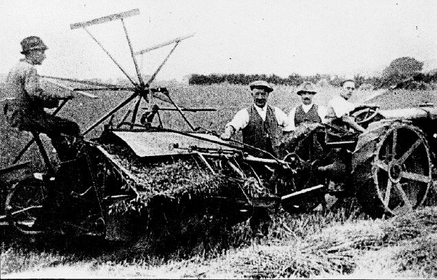 corn cutting with a binder and a fordson tractor