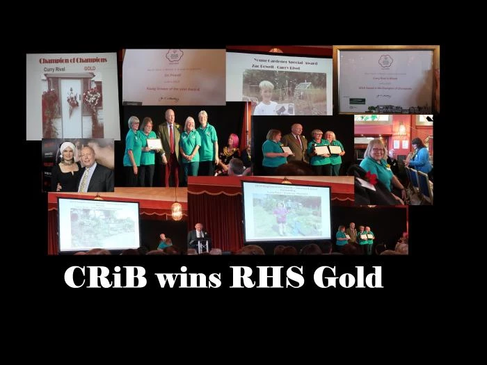 crib swinbloom awards 2019