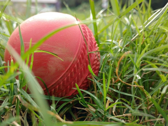 cricket ball grass