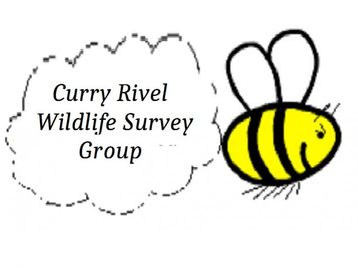 curry rivel wildlife survey group