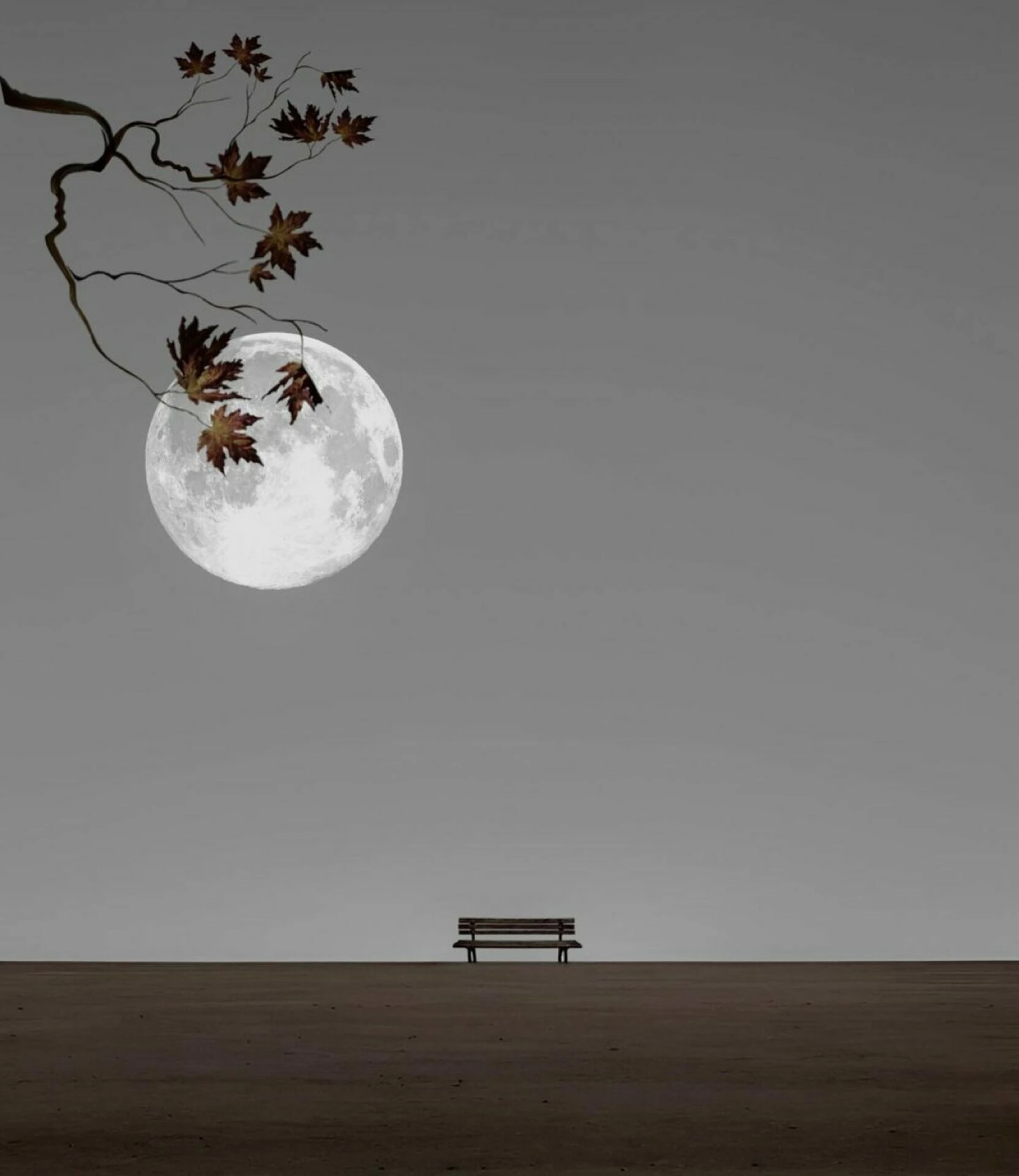 day dream
