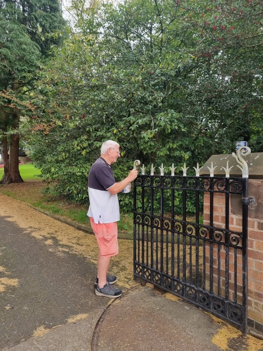 dez railings 8