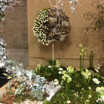 display 4