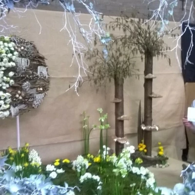 display with linda deakin