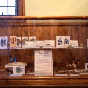 display6