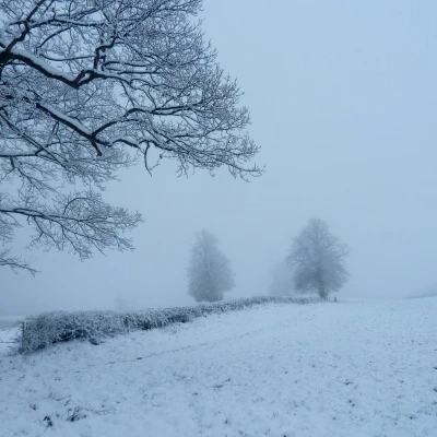 djw snow 010