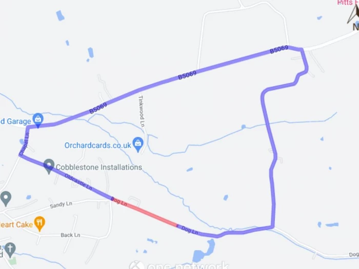 dog lane july 2022