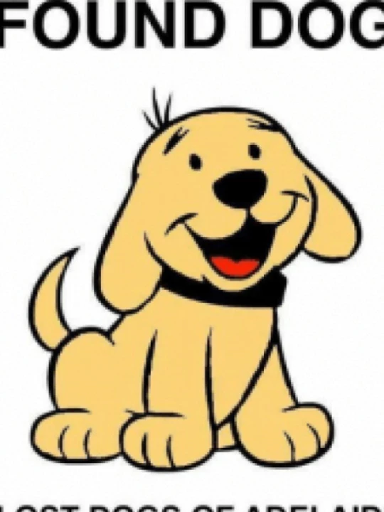 dogfoundsmall1