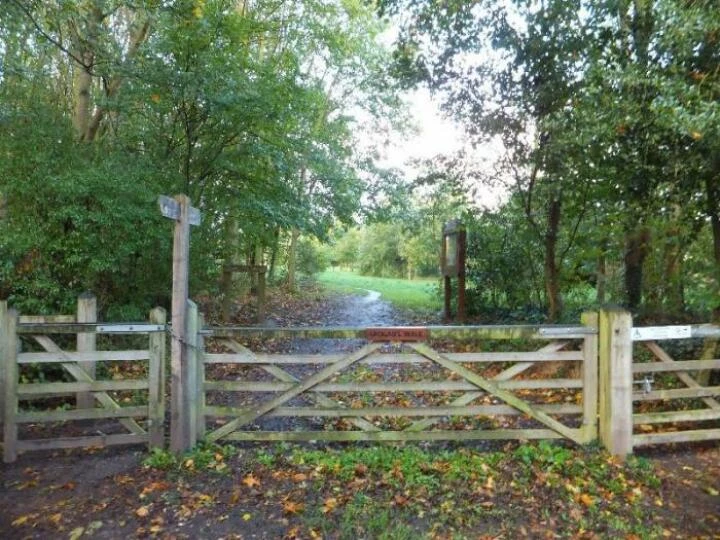 dogwalksincheshiretarvincommunitywoodland