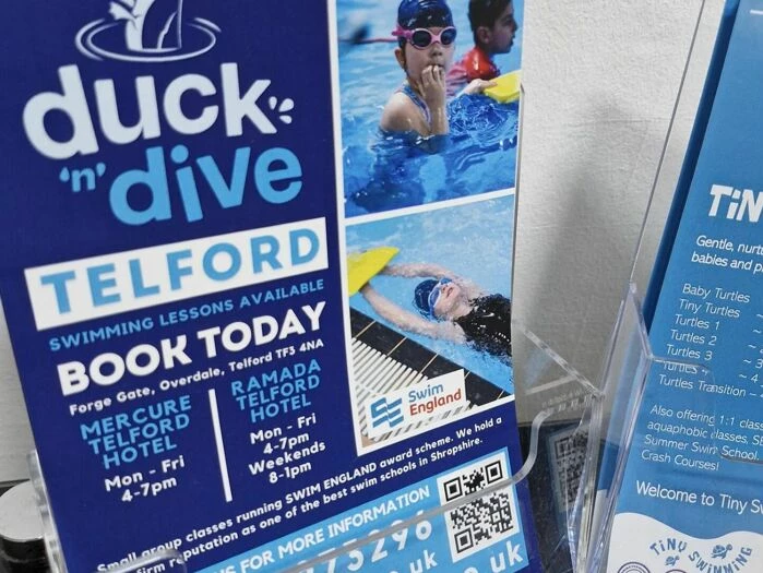 duck 39n39 dive  flyer