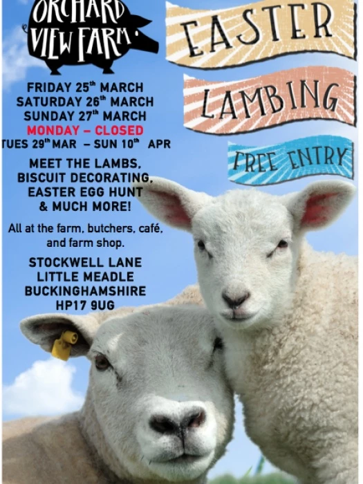 easter poster screen shot