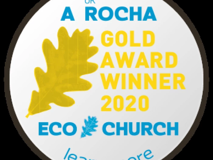 ecawardbuttons2020gold