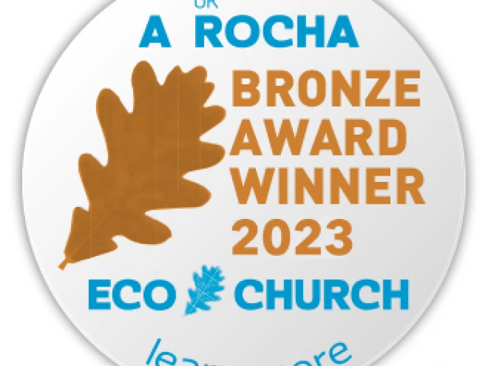 ecawardbuttons2023bronze