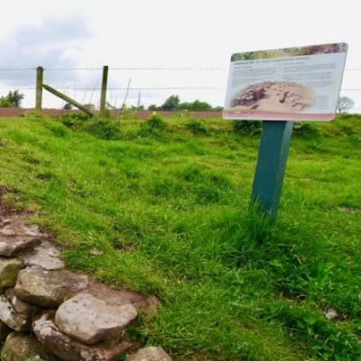 eddisbury hillfort interpretation panel