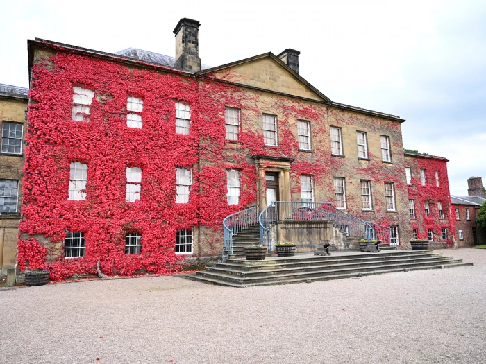erdigg house