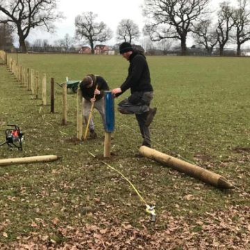 fencing