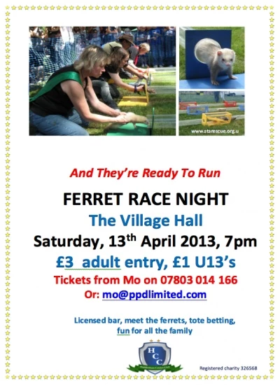 ferret racing poster