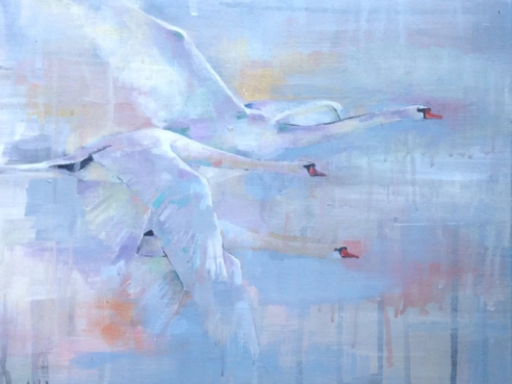 flight