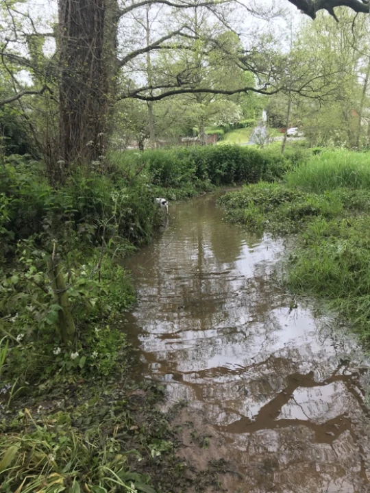 flood5