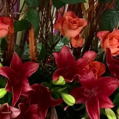 flower club jan 2017 wp20170111213133pro  2