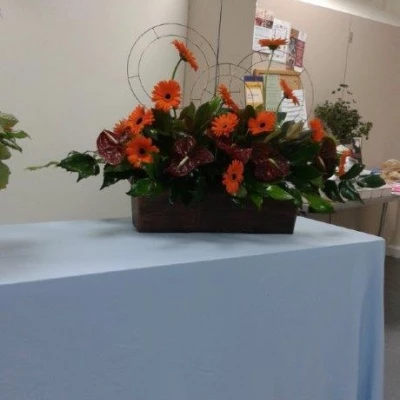 flower club sept 2016 20160914211959