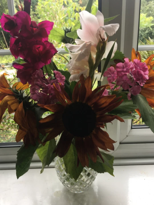 flowers