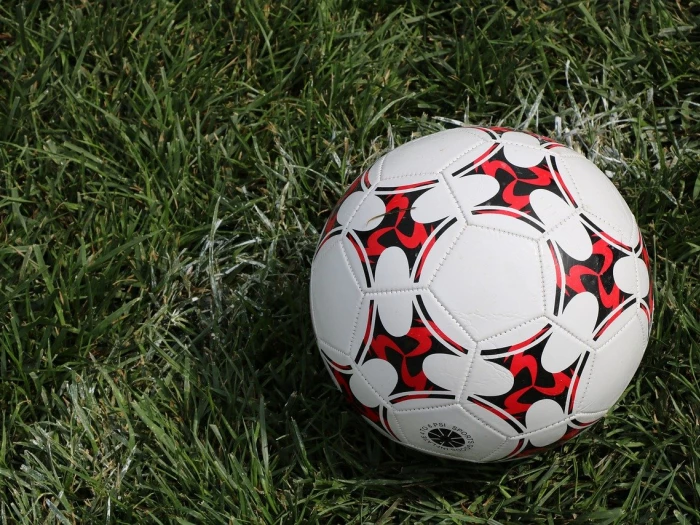 football ball nature