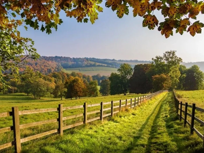 footpath scene