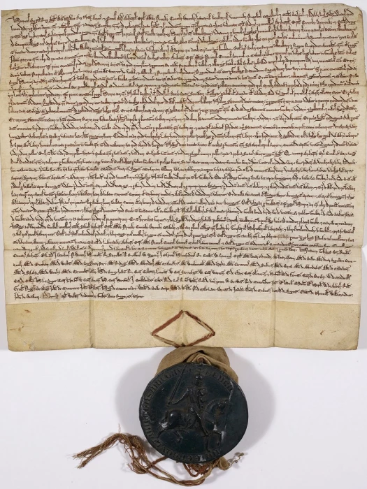 forest charter 1225 c13550 78