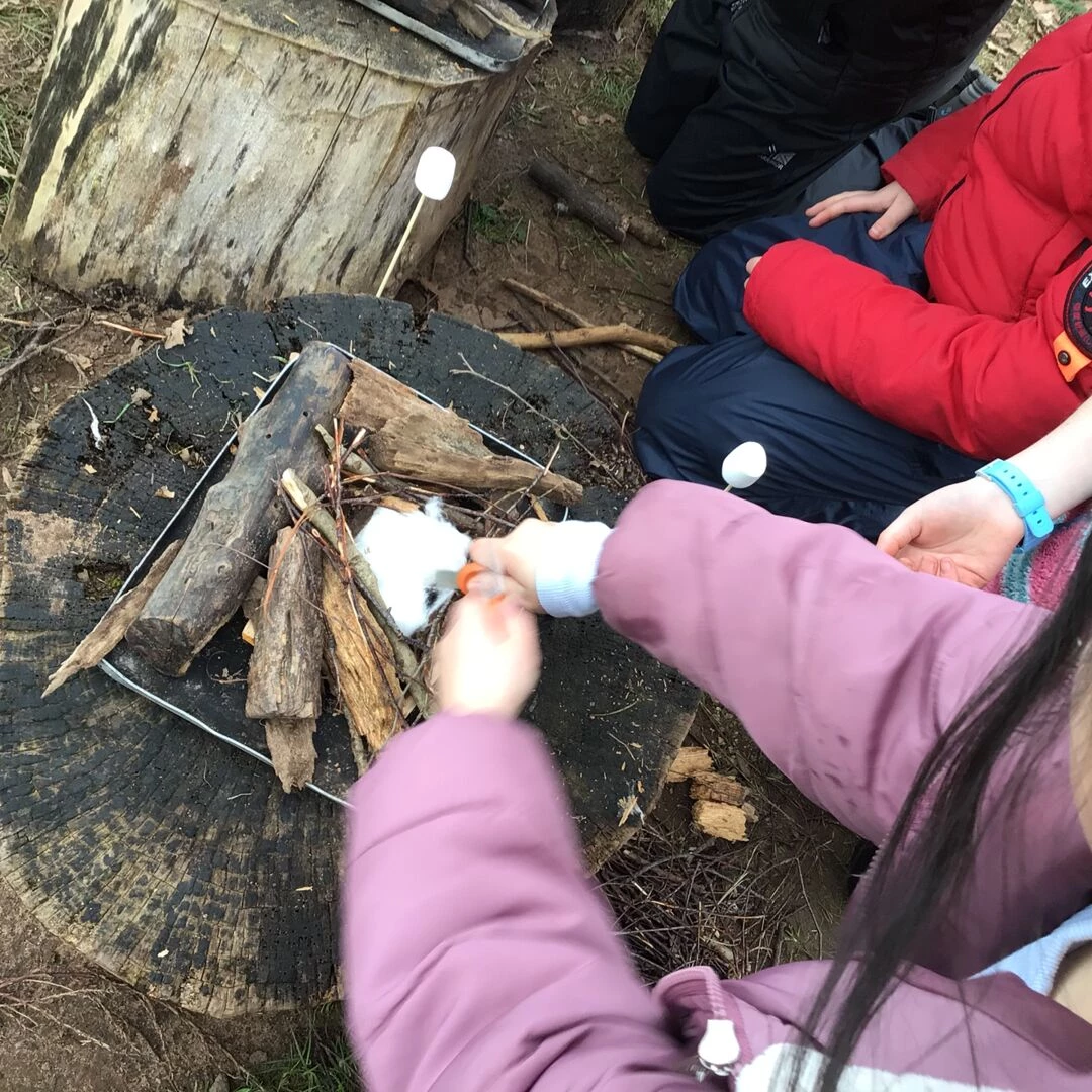 forest schools