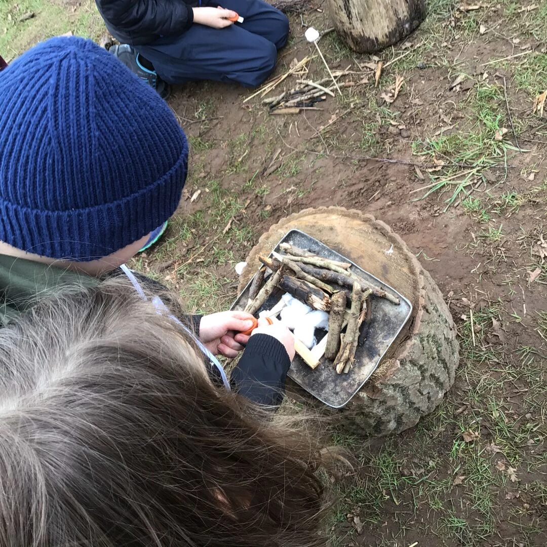 forest schools