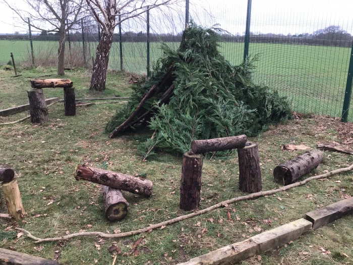 forest schools