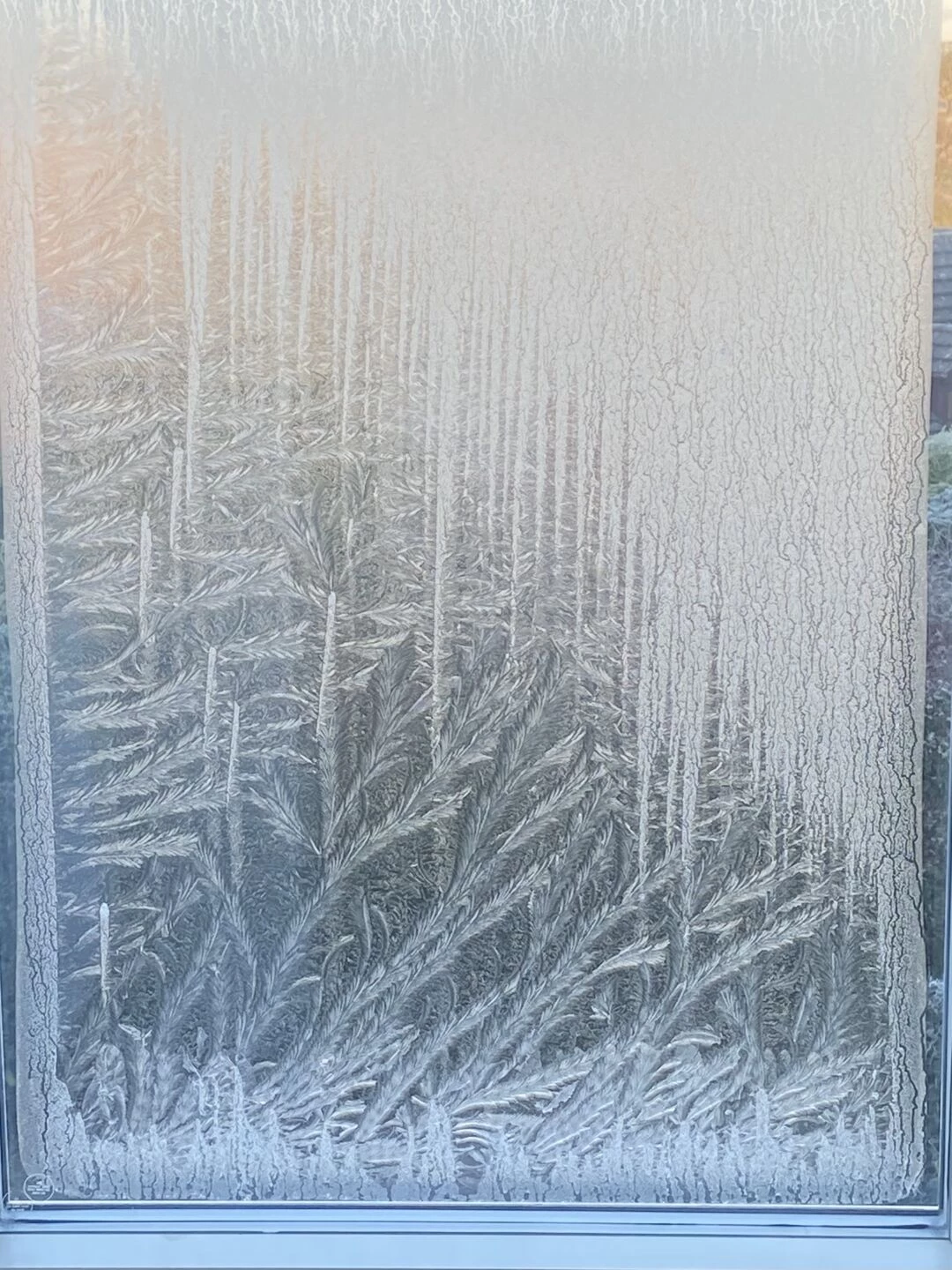 frosty window