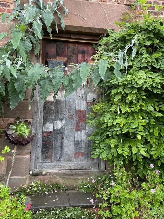 garden september 24