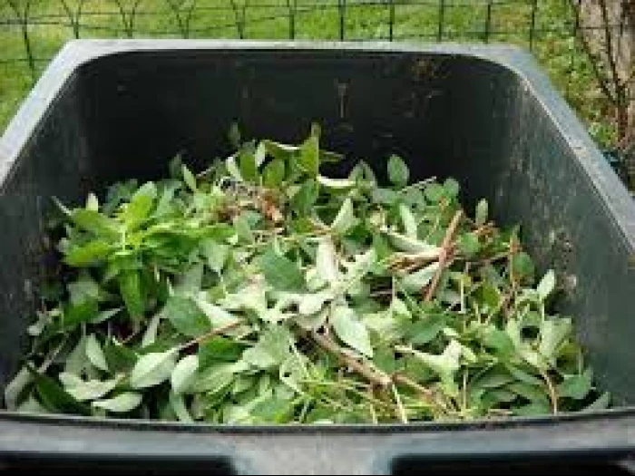 garden waste