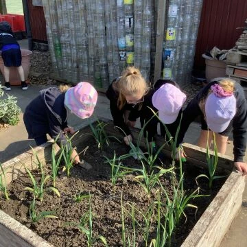 gardening