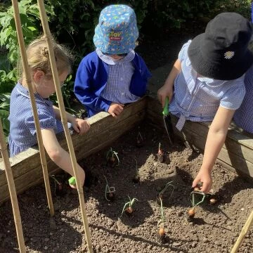 gardening